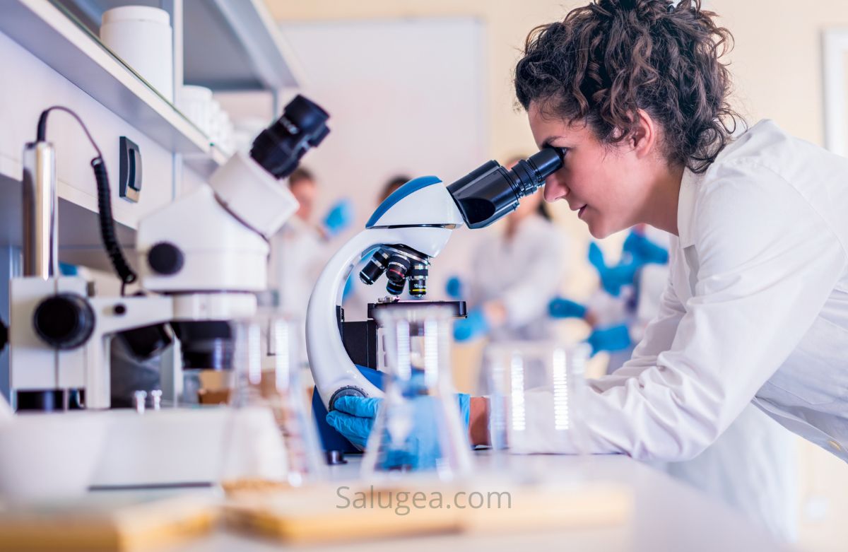 assimilabilità del Glutatione Liposomiale e Glutatione Ridotto