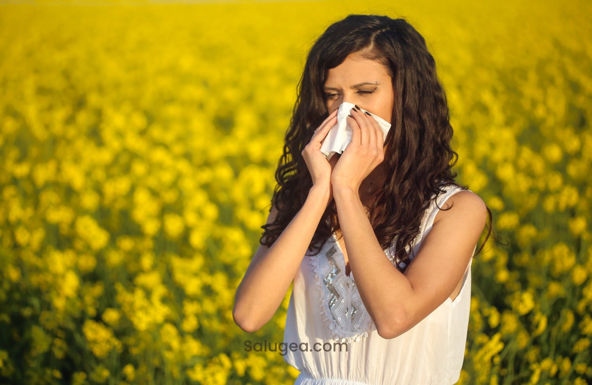 Zenzero e allergia evidenze scientifiche