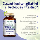 a cosa servoni i probiotici per l'intestino