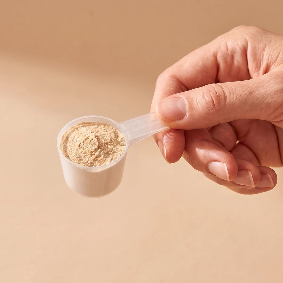 misurino con la polvere di LuxGea Pelle tenuto in mano