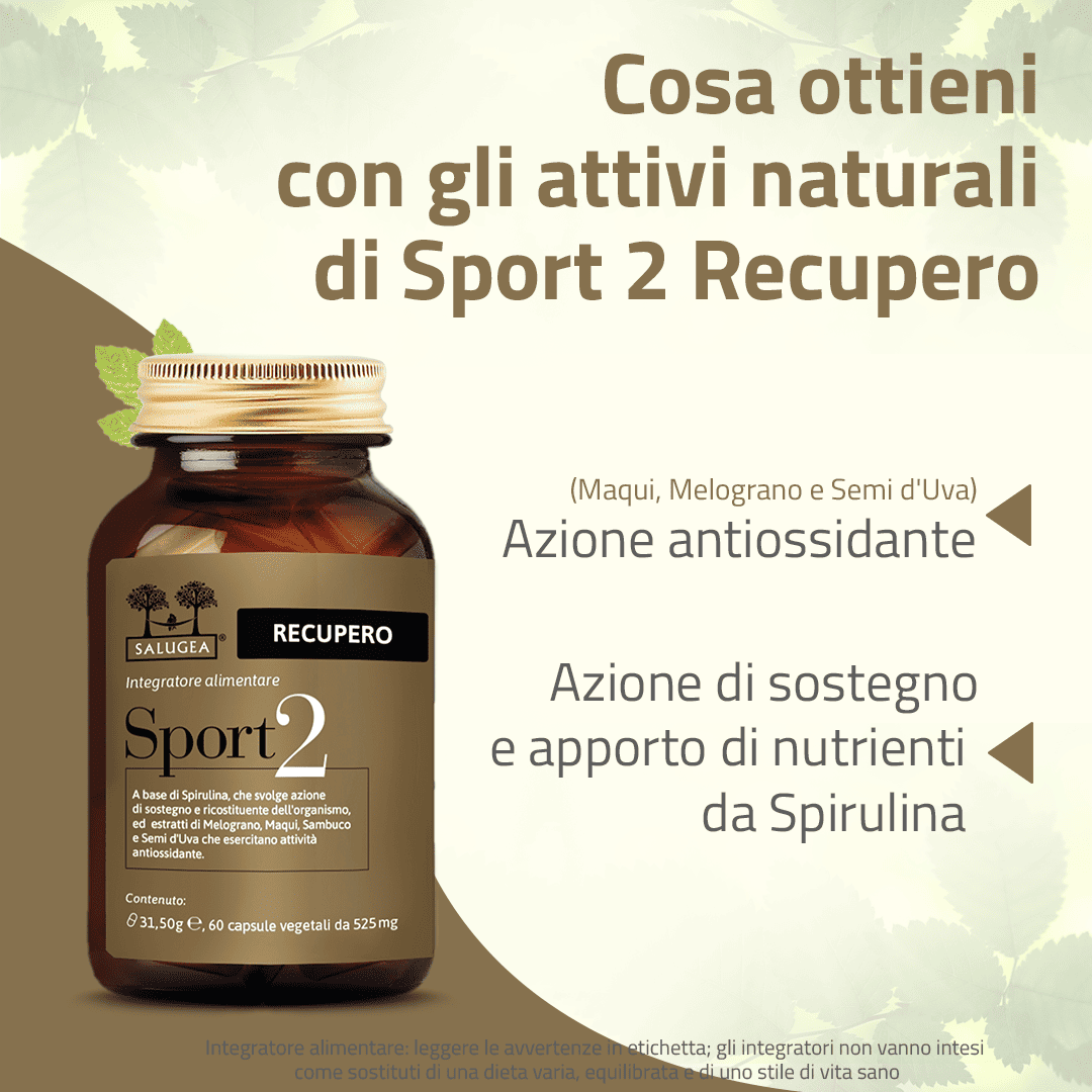 Sport 2 Recupero
