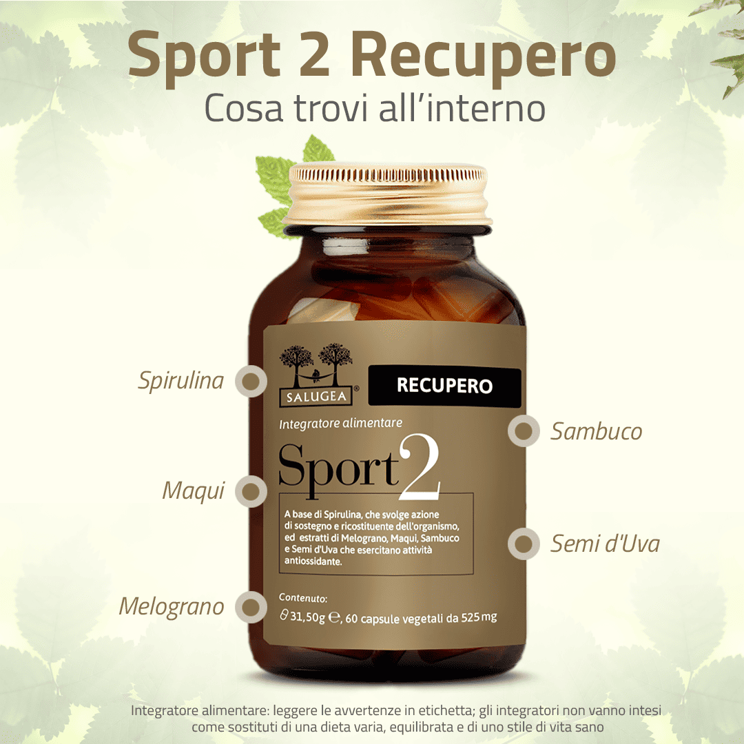 Sport 2 Recupero