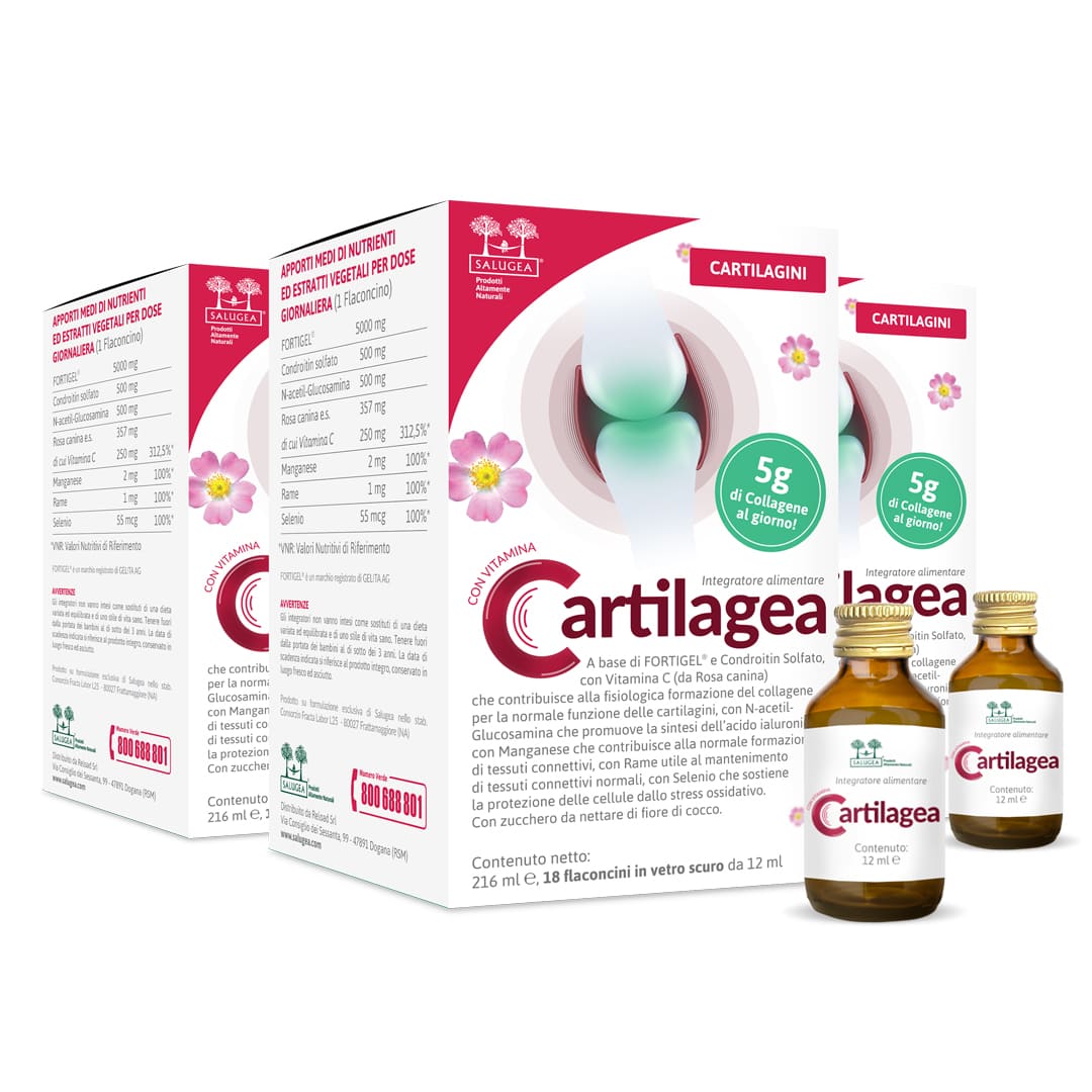 numero 3 confezioni di Cartilagea