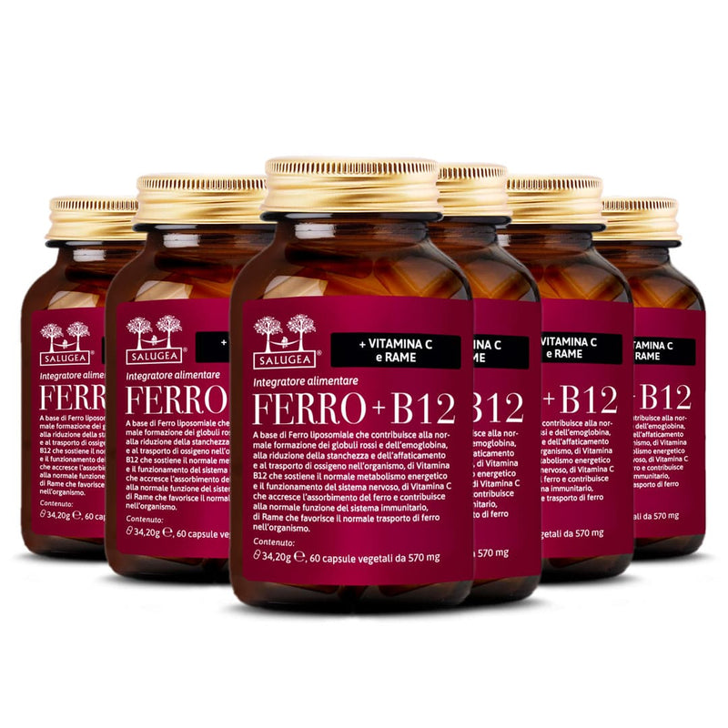 6 confezioni dell'integratore Ferro + B12 Salugea