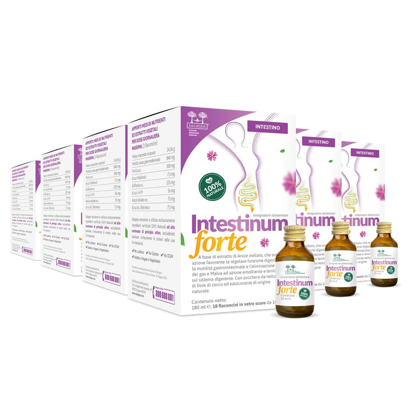 numero 6 confezioni di Intestinum Forte