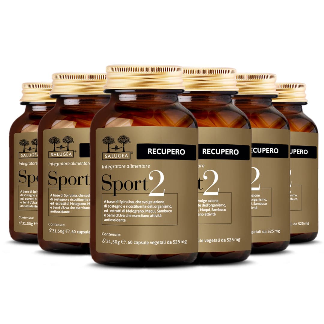 6 packs of the Sport 2 Recupero Salugea supplement