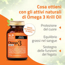 acidi grassi essenziali per le ossa