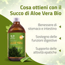 aloe vera detox