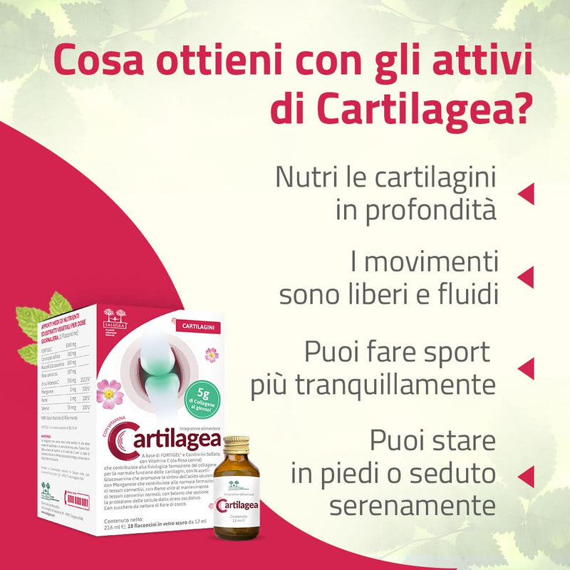 a cosa serve l'integratore Cartilagea