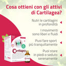 a cosa serve l'integratore Cartilagea
