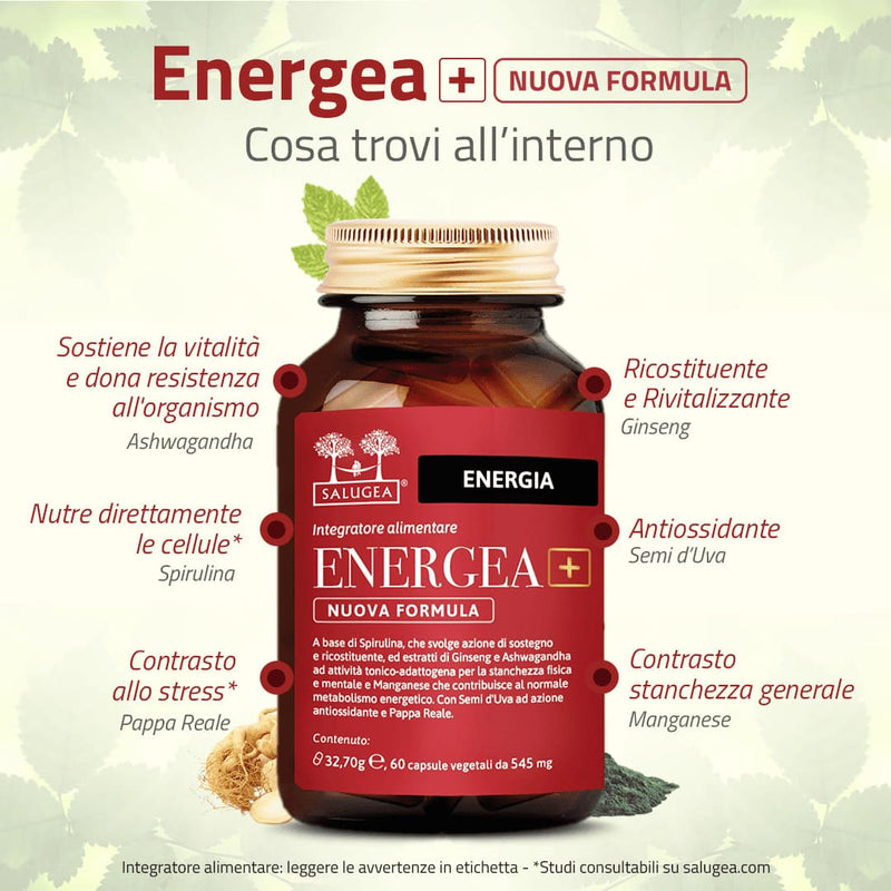 cosa contiene Energea+