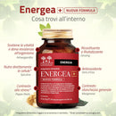 cosa contiene Energea+