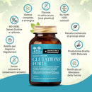 caratteristiche dell'integratore di Glutatione, Quercetina e Naringenina
