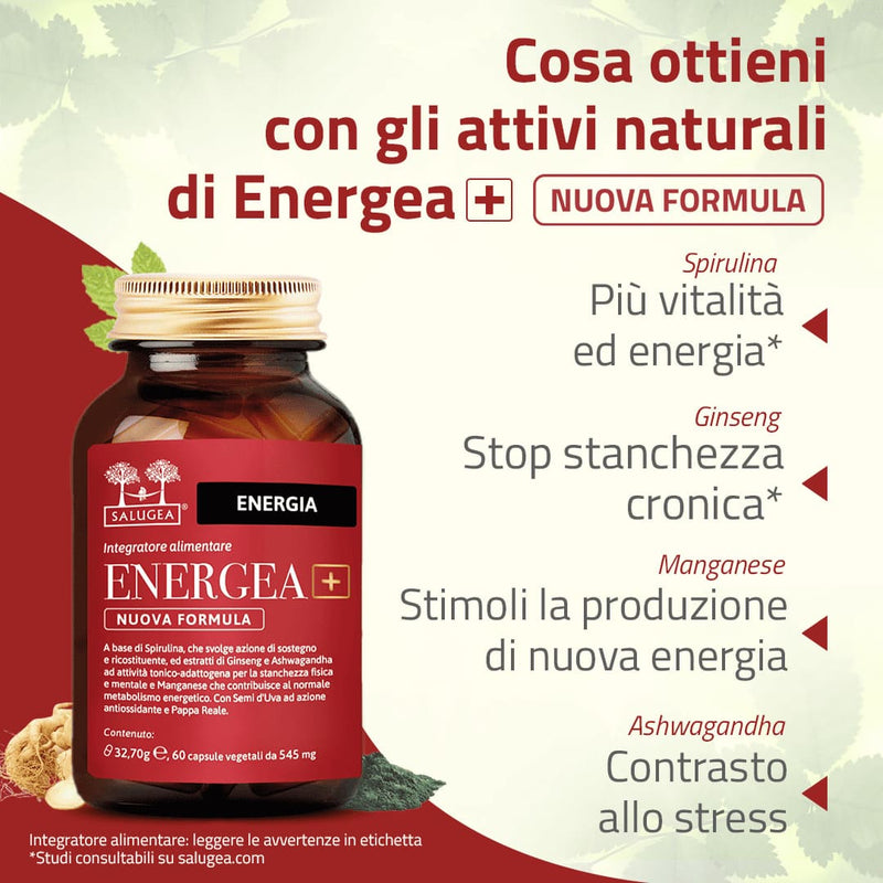 integratore energizzante naturale