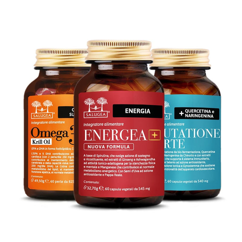 Programma Energia Base