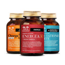 Programma Energia Base