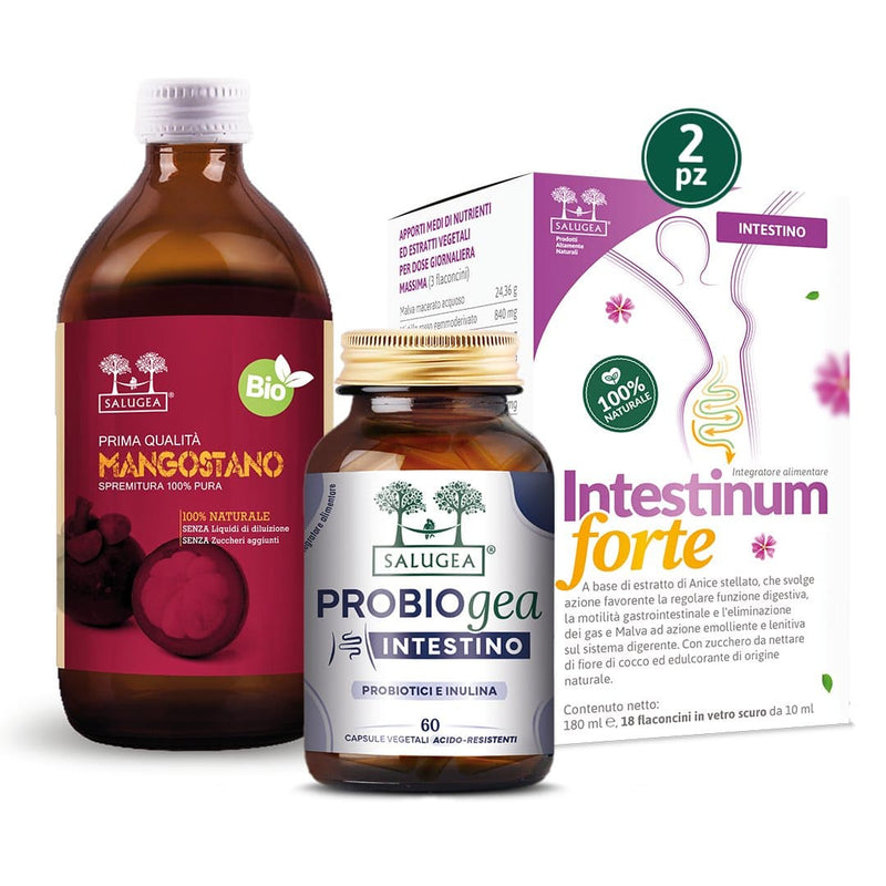 Programma Intestino Felice Salugea