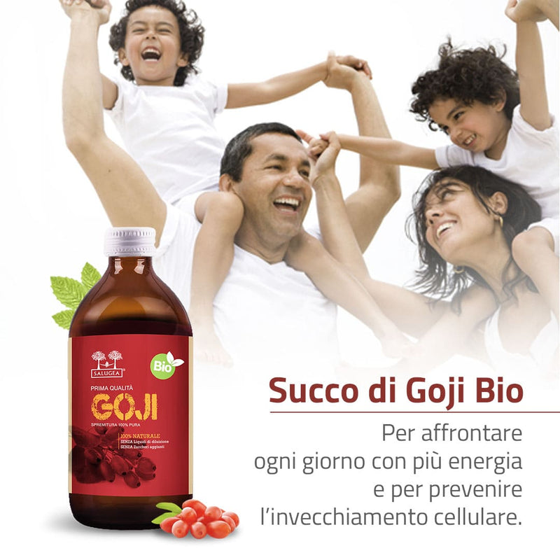 goji antiossidante naturale