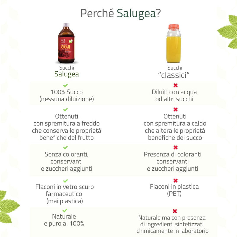 Succo di Goji Bio dettagli tecnici