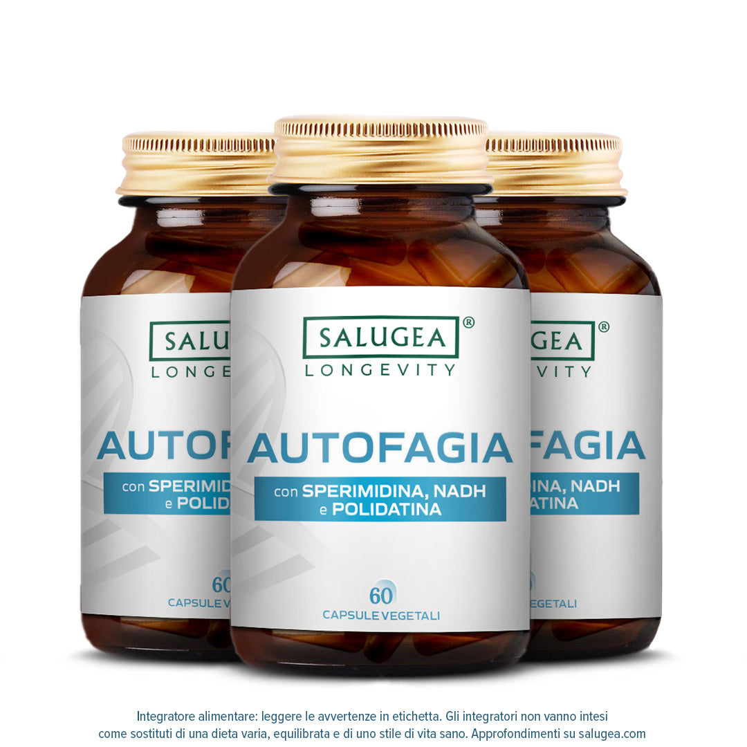 Autofagia