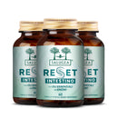 numero 3 confezioni dell'integratore Reset Intestino Salugea