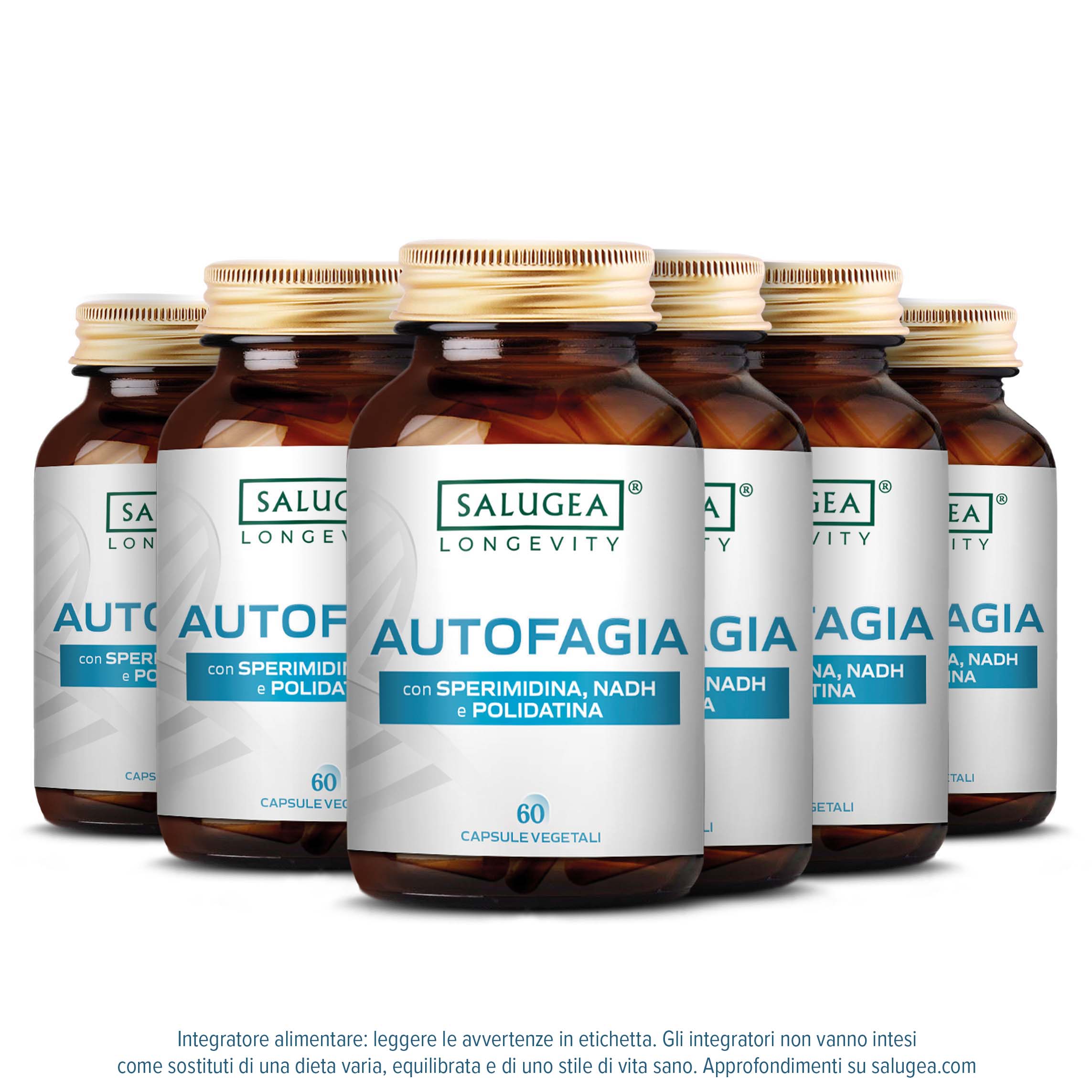 Autofagia