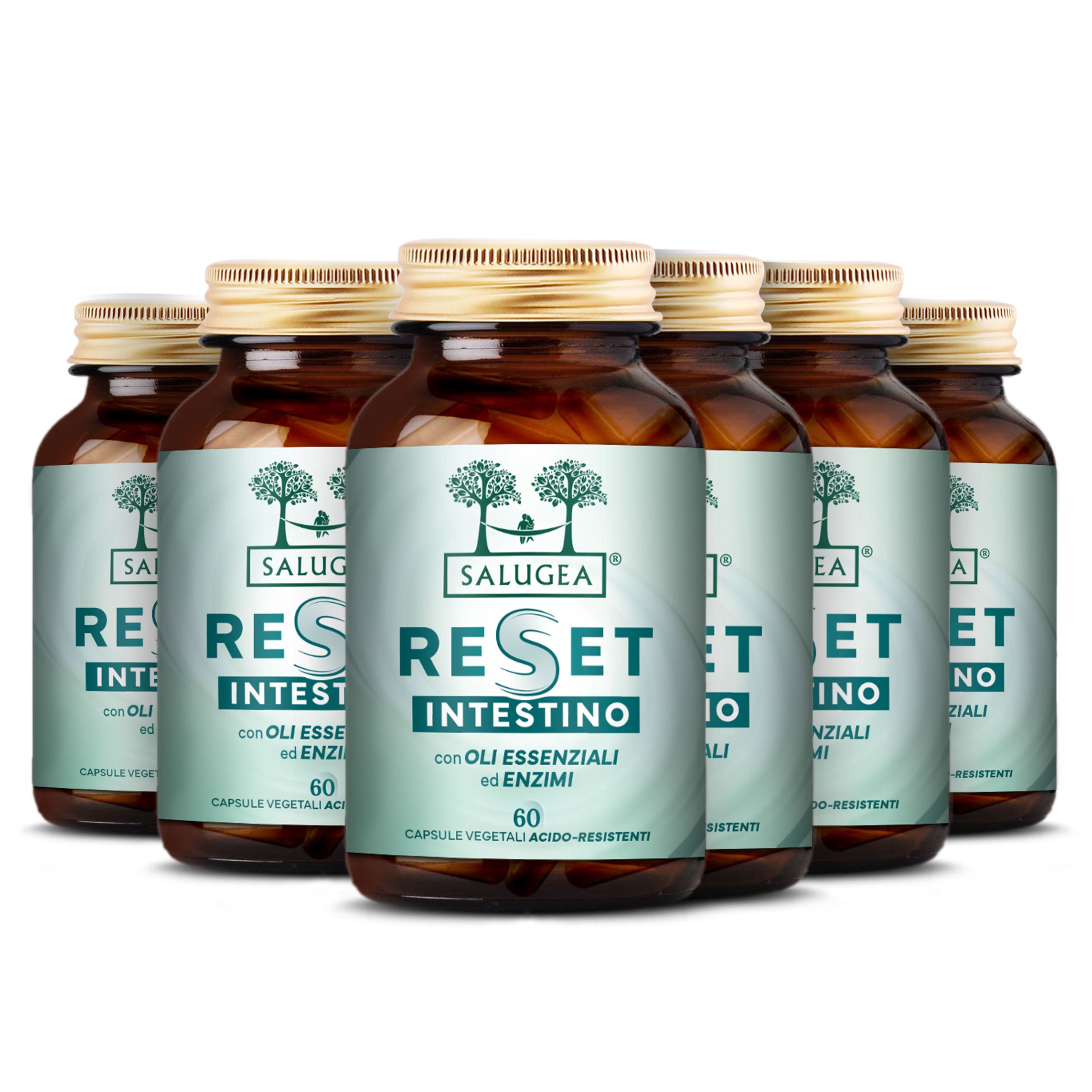 numero 6 confezioni dell'integratore Reset Intestino Salugea