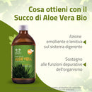 Succo di Aloe Vera Bio