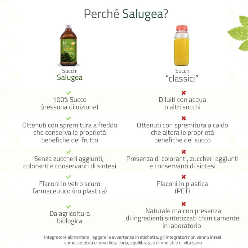 Succo di Aloe Vera Bio