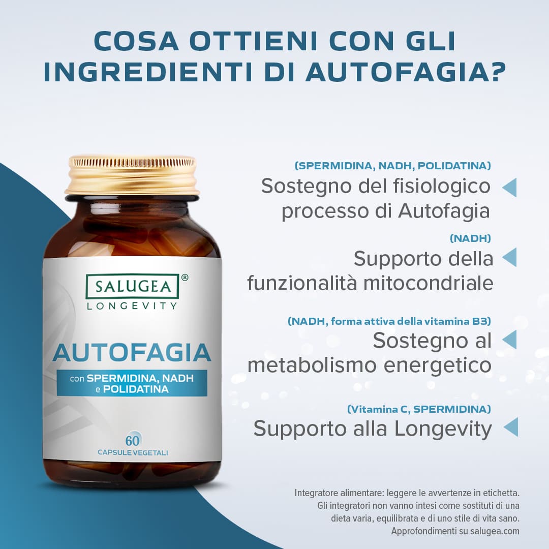 Autofagia