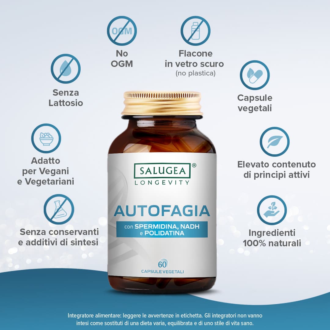 Autofagia