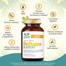 caratteristiche di reflugea rapido