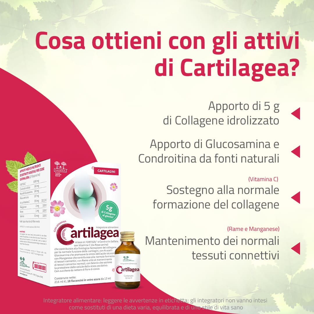 Cartilagea