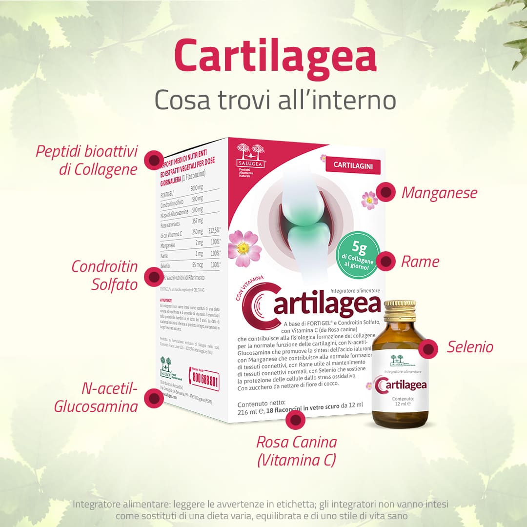 Cartilagea