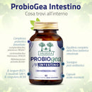 cosa contiene l'integratore ProbioGea Intestino