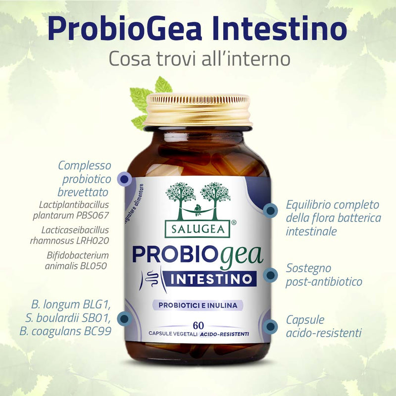 cosa contiene l'integratore ProbioGea Intestino