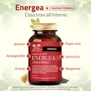 Energea+