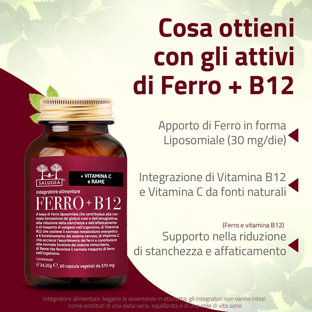 Ferro + B12