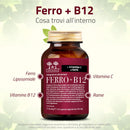 Ferro + B12