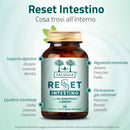 formula detox per l'intestino