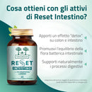 integratore detox per l'intestino Reset Intestino Salugea