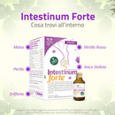 Intestinum Forte