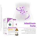 Intestinum Forte