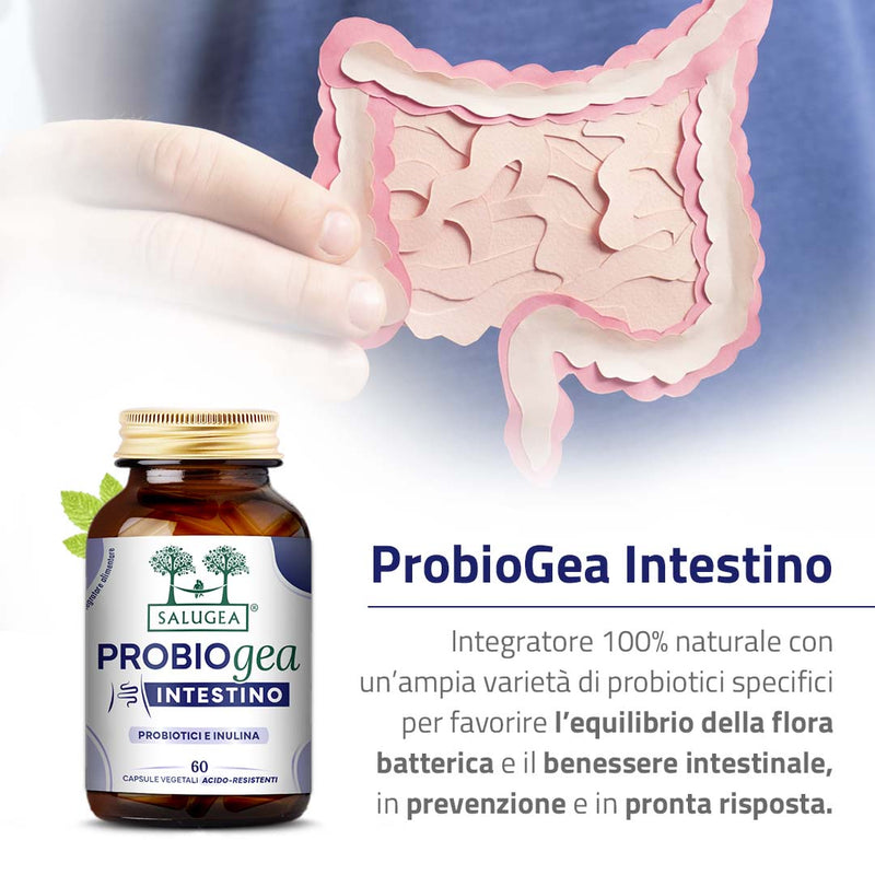 probiotici per l'intestino