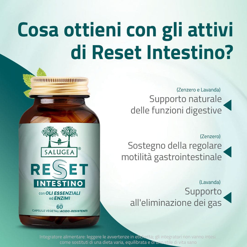Reset Intestino