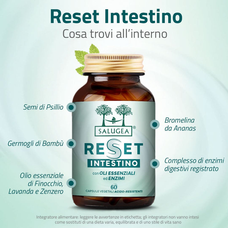 Reset Intestino