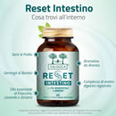 Reset Intestino