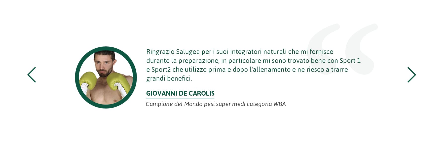Giovanni De Carolis testimonianza