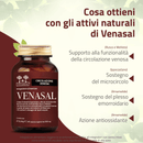 Venasal
