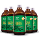 Organic Sea Buckthorn Juice